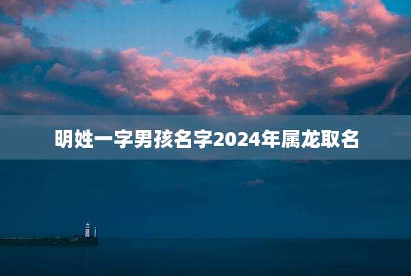 明姓一字男孩名字2024年属龙取名