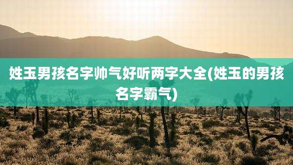 姓玉男孩名字帅气好听两字大全(姓玉的男孩名字霸气)