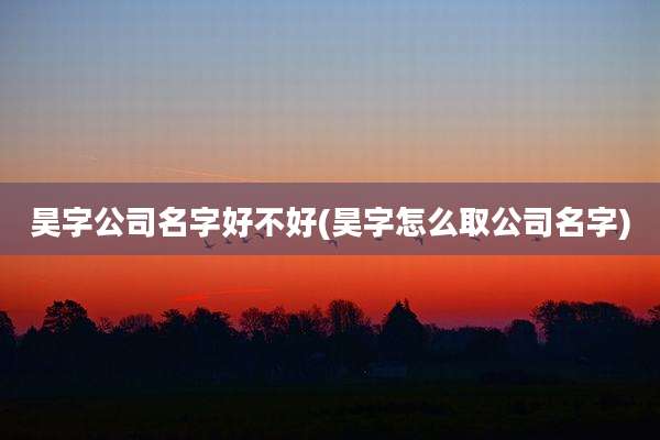 昊字公司名字好不好(昊字怎么取公司名字)