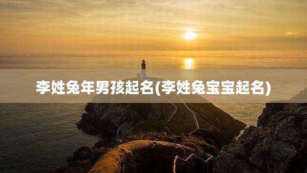 李姓兔年男孩起名(李姓兔宝宝起名)