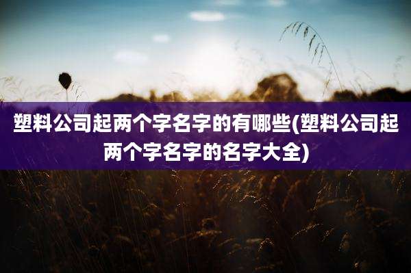塑料公司起两个字名字的有哪些(塑料公司起两个字名字的名字大全)