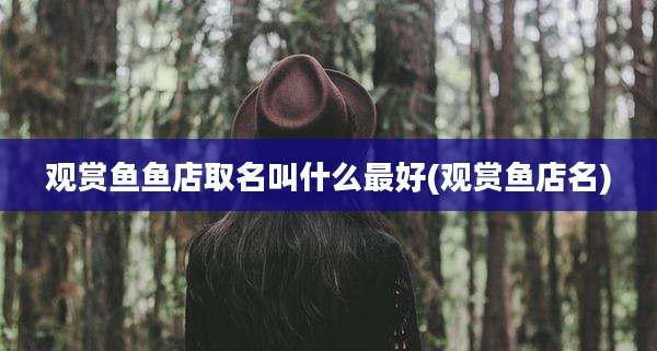 观赏鱼鱼店取名叫什么最好(观赏鱼店名)