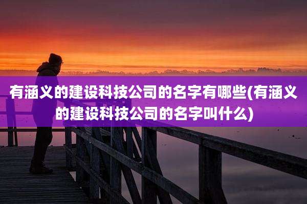 有涵义的建设科技公司的名字有哪些(有涵义的建设科技公司的名字叫什么)