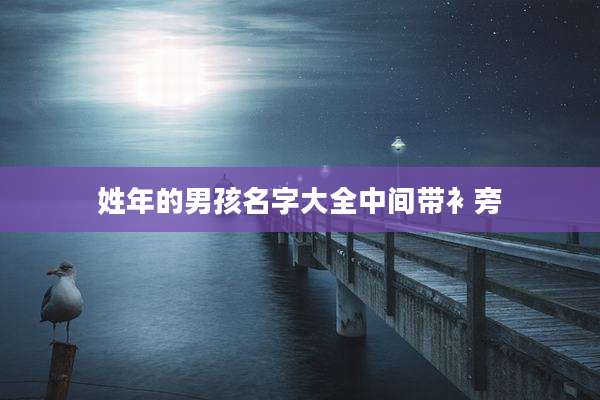姓年的男孩名字大全中间带衤旁