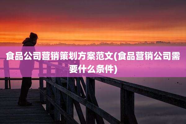 食品公司营销策划方案范文(食品营销公司需要什么条件)