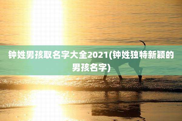 钟姓男孩取名字大全2021(钟姓独特新颖的男孩名字)
