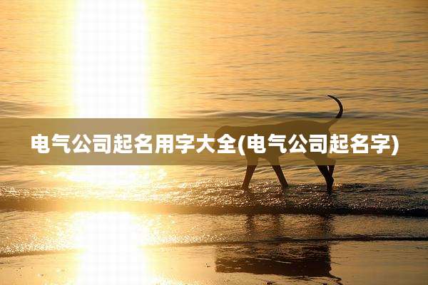 电气公司起名用字大全(电气公司起名字)
