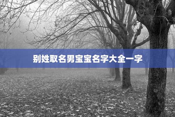 别姓取名男宝宝名字大全一字