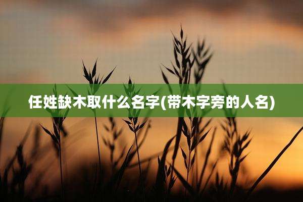 任姓缺木取什么名字(带木字旁的人名)