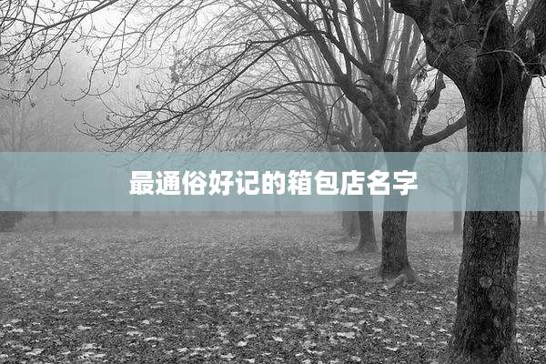 最通俗好记的箱包店名字