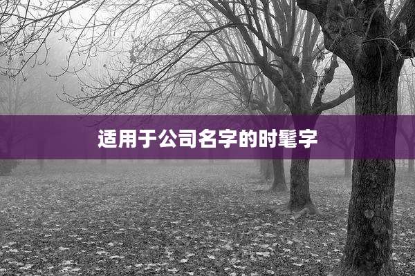 适用于公司名字的时髦字