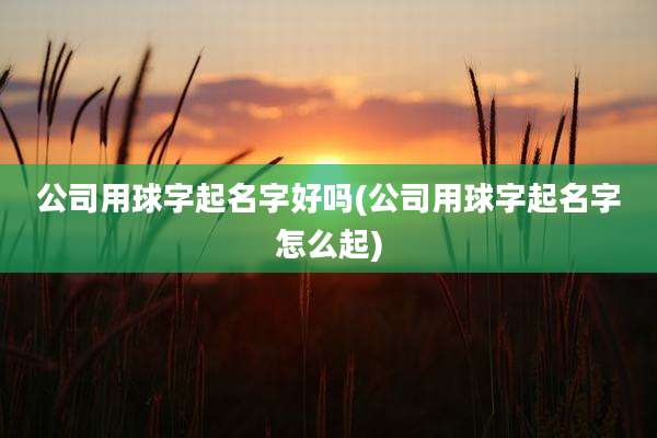 公司用球字起名字好吗(公司用球字起名字怎么起)