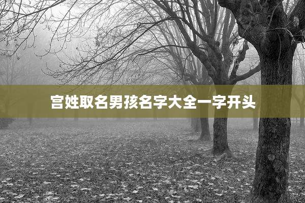 宫姓取名男孩名字大全一字开头