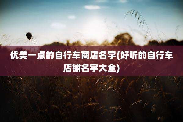 优美一点的自行车商店名字(好听的自行车店铺名字大全)