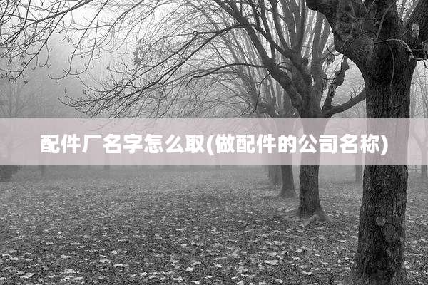 配件厂名字怎么取(做配件的公司名称)