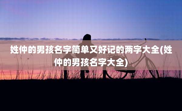 姓仲的男孩名字简单又好记的两字大全(姓仲的男孩名字大全)