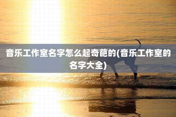 音乐工作室名字怎么起奇葩的(音乐工作室的名字大全)