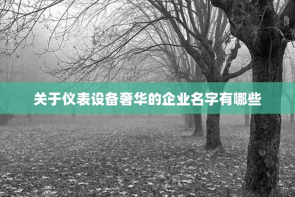 关于仪表设备奢华的企业名字有哪些