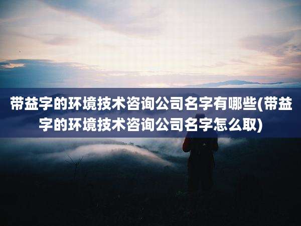 带益字的环境技术咨询公司名字有哪些(带益字的环境技术咨询公司名字怎么取)