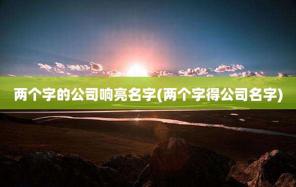 两个字的公司响亮名字(两个字得公司名字)