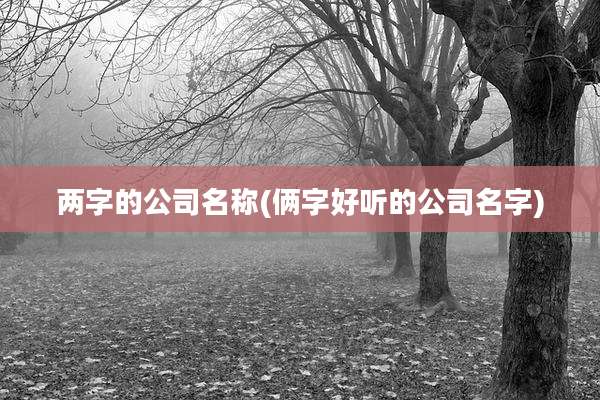 两字的公司名称(俩字好听的公司名字)