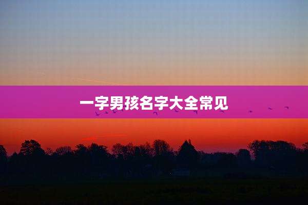 一字男孩名字大全常见