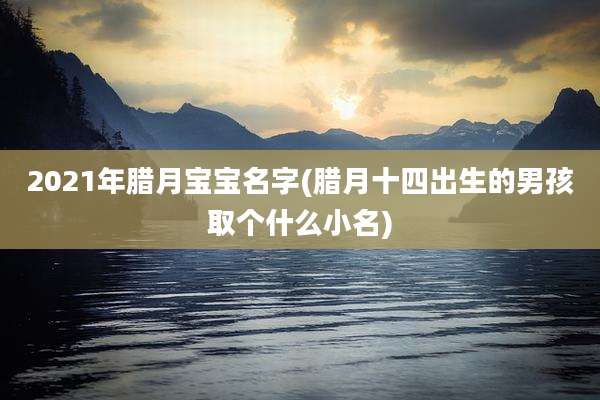 2021年腊月宝宝名字(腊月十四出生的男孩取个什么小名)