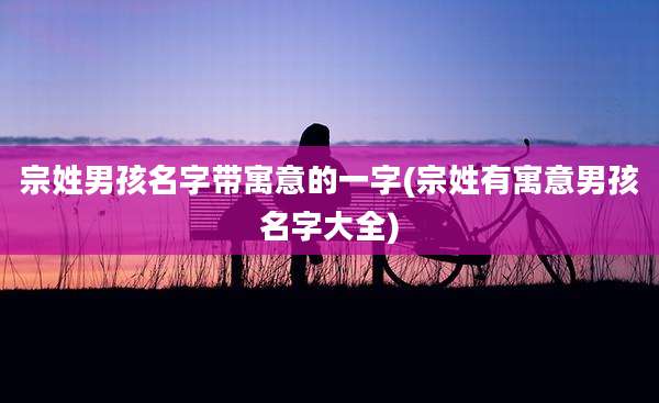 宗姓男孩名字带寓意的一字(宗姓有寓意男孩名字大全)