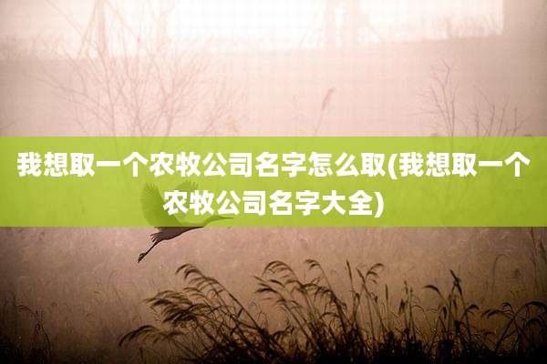 我想取一个农牧公司名字怎么取(我想取一个农牧公司名字大全)