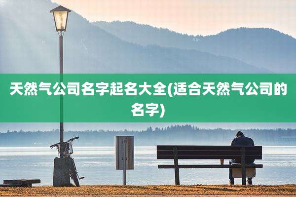 天然气公司名字起名大全(适合天然气公司的名字)