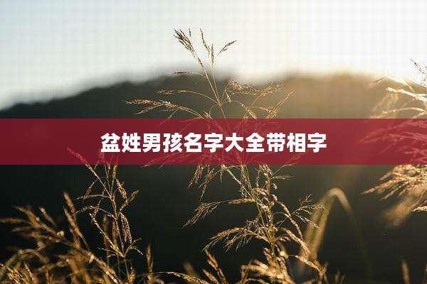 盆姓男孩名字大全带相字