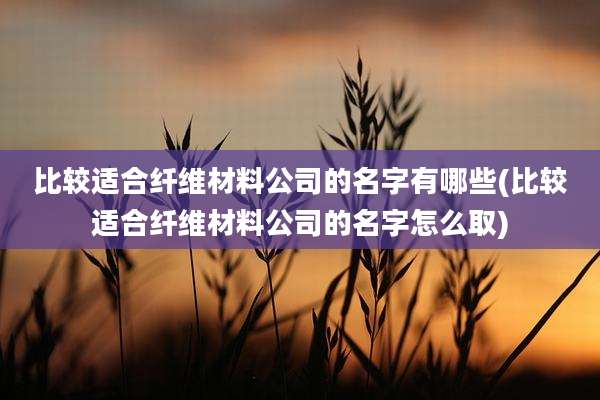 比较适合纤维材料公司的名字有哪些(比较适合纤维材料公司的名字怎么取)