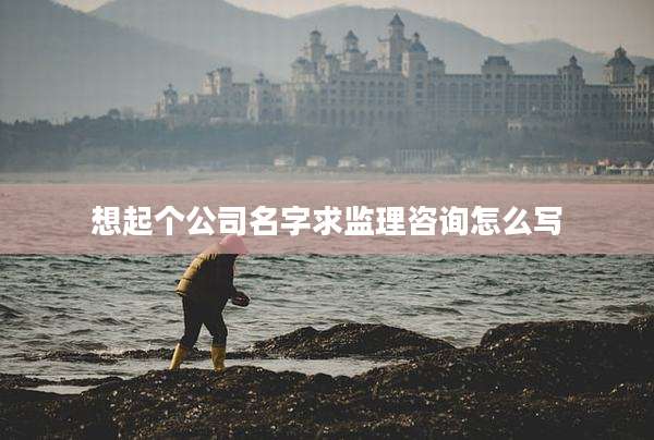 想起个公司名字求监理咨询怎么写