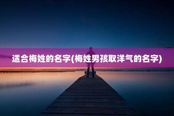 适合梅姓的名字(梅姓男孩取洋气的名字)