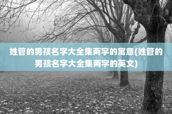 姓管的男孩名字大全集两字的寓意(姓管的男孩名字大全集两字的英文)