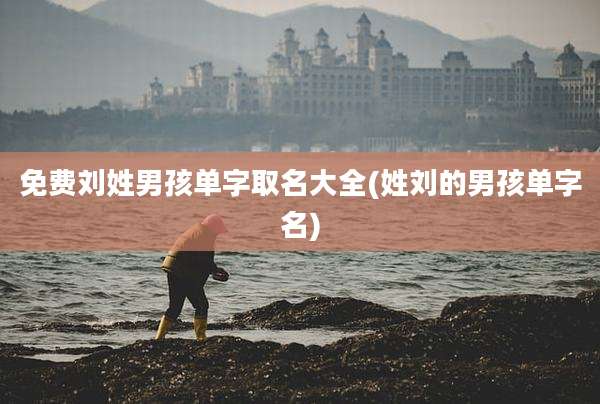 免费刘姓男孩单字取名大全(姓刘的男孩单字名)
