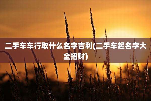 二手车车行取什么名字吉利(二手车起名字大全招财)