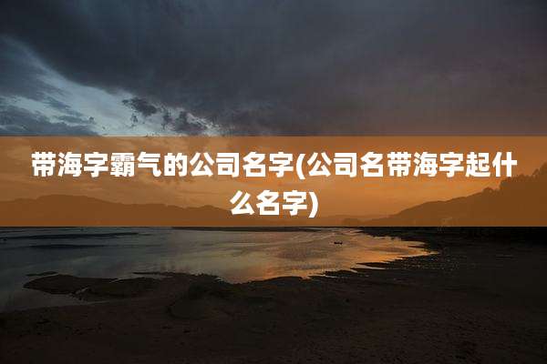 带海字霸气的公司名字(公司名带海字起什么名字)