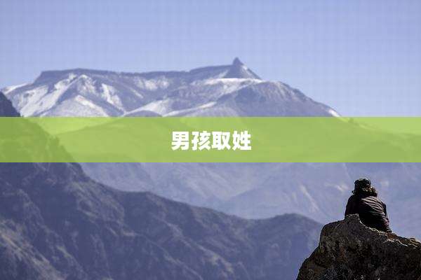 男孩取姓