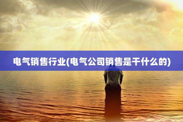 电气销售行业(电气公司销售是干什么的)
