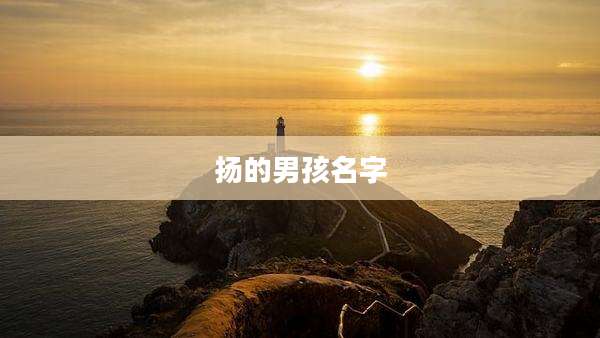 扬的男孩名字