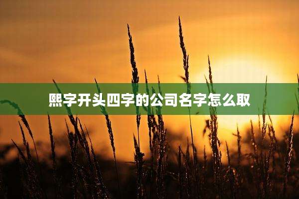 熙字开头四字的公司名字怎么取