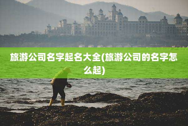 旅游公司名字起名大全(旅游公司的名字怎么起)