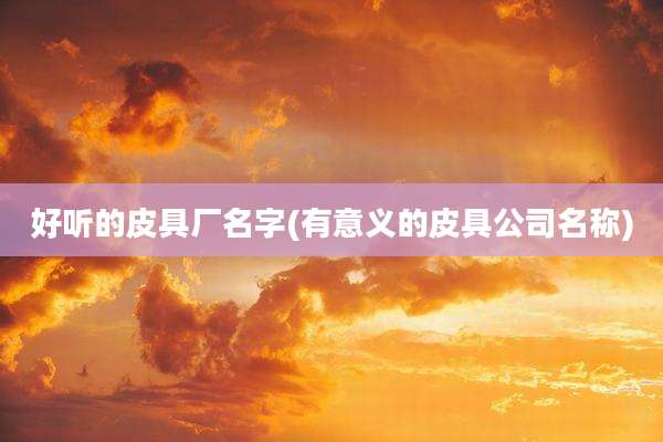 好听的皮具厂名字(有意义的皮具公司名称)
