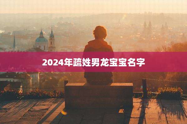 2024年疏姓男龙宝宝名字