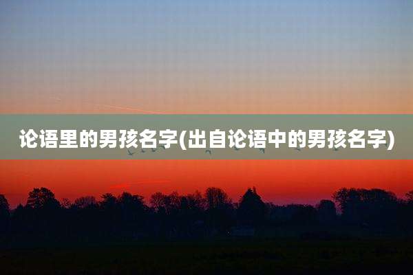 论语里的男孩名字(出自论语中的男孩名字)