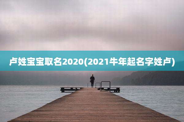 卢姓宝宝取名2020(2021牛年起名字姓卢)