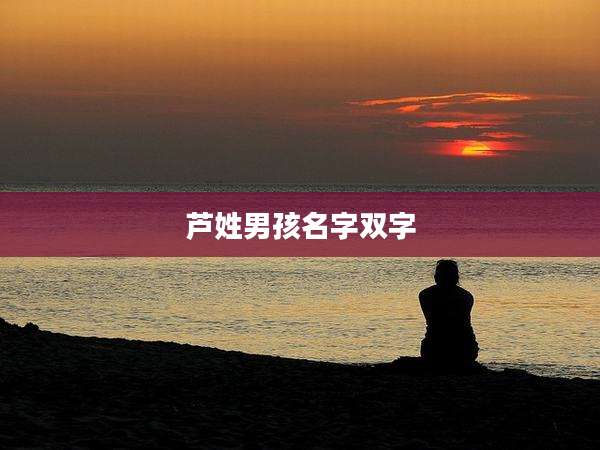 芦姓男孩名字双字