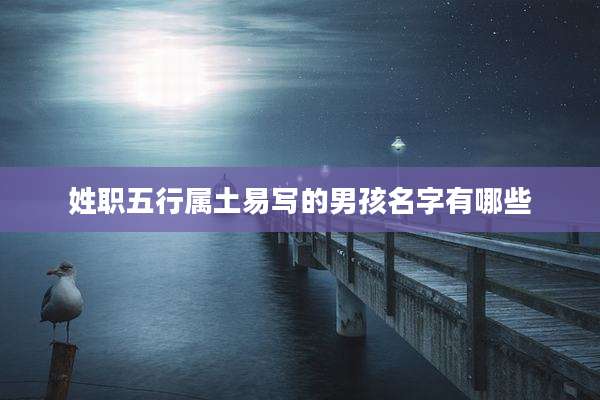 姓职五行属土易写的男孩名字有哪些