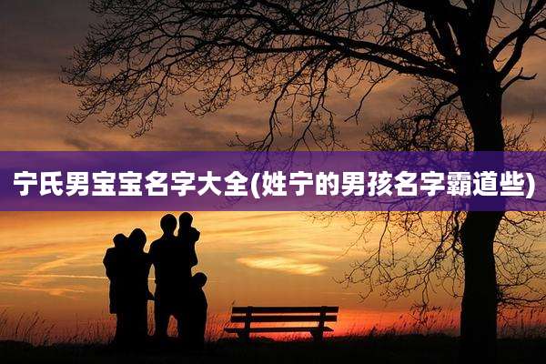 宁氏男宝宝名字大全(姓宁的男孩名字霸道些)